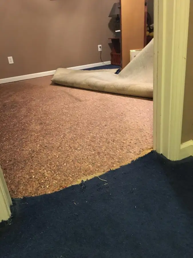 Carpet pad removal revealing water damage during Drying & Dehumidification in Sullivan